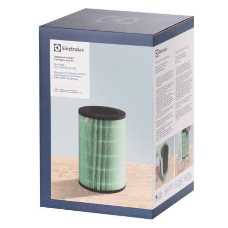 Купить Фильтр Electrolux FAP-2050 ANTI SMOG ACTIVE с качественным монтажом климатических систем в Москве и МО от ПУХОВ  тел.: +7 (495) 123-66-55
