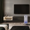 Купить Очиститель воздуха Electrolux EAP-2050D с качественным монтажом климатических систем в Москве и МО от ПУХОВ  тел.: +7 (495) 123-66-55