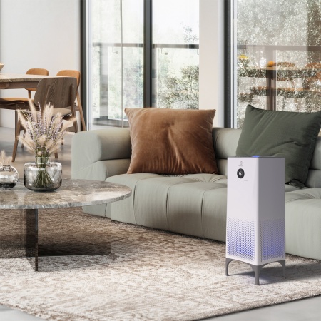 Купить Очиститель воздуха Electrolux EAP-2075D с качественным монтажом климатических систем в Москве и МО от ПУХОВ  тел.: +7 (495) 123-66-55