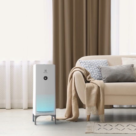 Купить Очиститель воздуха Electrolux EAP-2050D с качественным монтажом климатических систем в Москве и МО от ПУХОВ  тел.: +7 (495) 123-66-55
